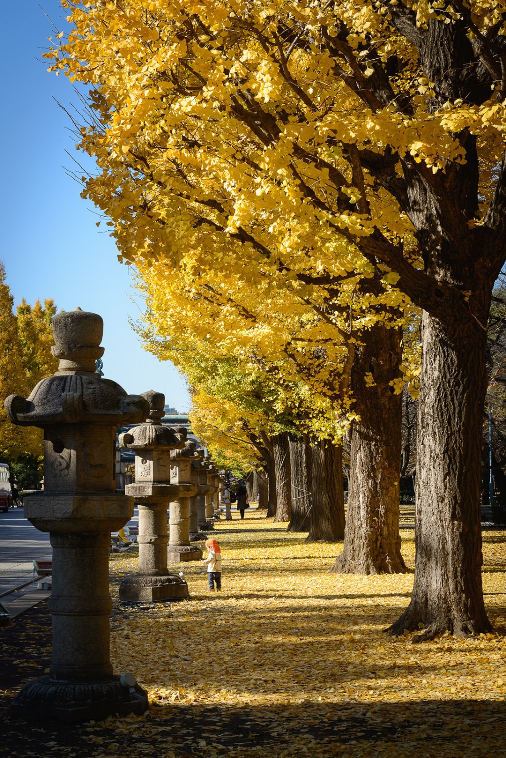 Musim Gugur Kuil Yasukuni