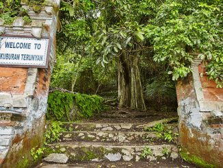 Pemakaman Unik Di Bali - Pemakaman Terunyan
