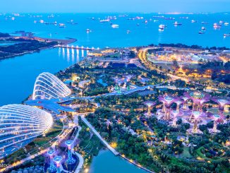 Keindahan Garden By The Bay - Taman Yang Masuk Kedalam Buku Rekor Dunia