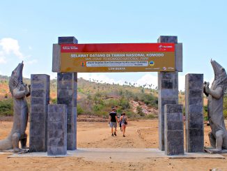 Perhatikan Pantangan Saat Berlibur Ke Pulau Komodo Di Labuan Bajo