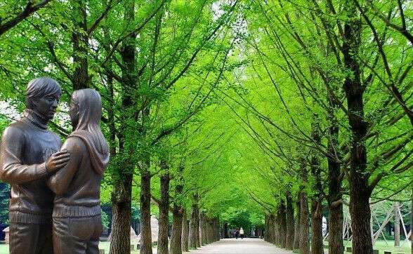 Nikmati Keindahan Pulau Ala-Ala Drama Korea Di Nami Island
