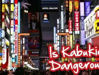Menyusuri Kabukicho - Daerah Prostitusi Yang Ada Di Jepang