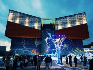 Lihat Keanekaragaman Hayati Laut Di Kaiyukan Aquarium Jepang