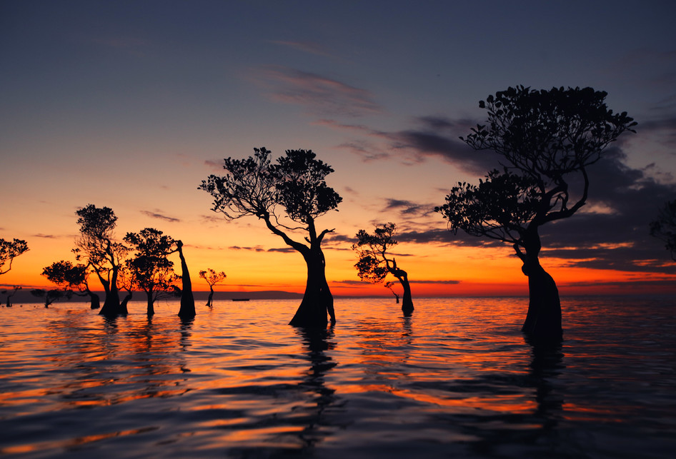 7 Pesona Keindahan Pulau Sumba