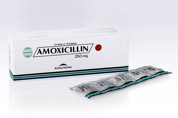 Mengenali Fungsi Dari Amoxillin Agar Tidak Salah Dipergunakan